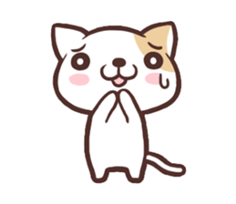 Junior cat (World Edition) sticker #2908047