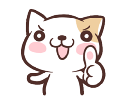 Junior cat (World Edition) sticker #2908048