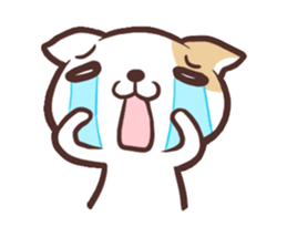 Junior cat (World Edition) sticker #2908062