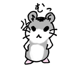 My name is Djun (Djungarian hamster) sticker #2908547
