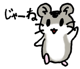 My name is Djun (Djungarian hamster) sticker #2908554
