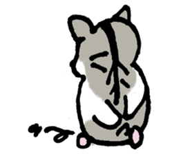 My name is Djun (Djungarian hamster) sticker #2908574