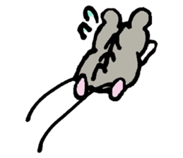 My name is Djun (Djungarian hamster) sticker #2908577