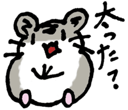 My name is Djun (Djungarian hamster) sticker #2908583