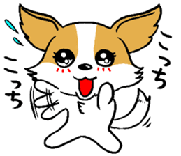 Mocha of chihuahua returns sticker #2908787