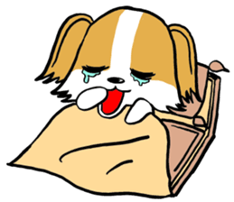 Mocha of chihuahua returns sticker #2908805