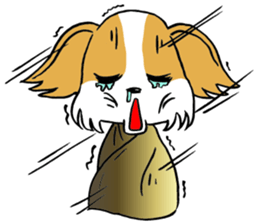 Mocha of chihuahua returns sticker #2908816