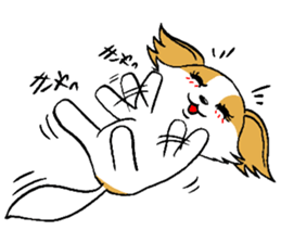 Mocha of chihuahua returns sticker #2908820