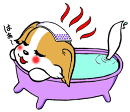 Mocha of chihuahua returns sticker #2908822