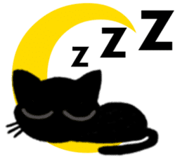 Moon and black cat sticker #2910456