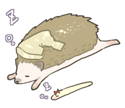 OHAGI the hedgehog!![English version.] sticker #2912175