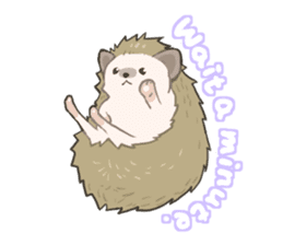 OHAGI the hedgehog!![English version.] sticker #2912176