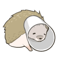 OHAGI the hedgehog!![English version.] sticker #2912180