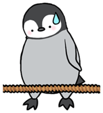Healthy baby penguin sticker #2912211