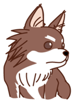 HELLO Chihuahua sticker #2915317