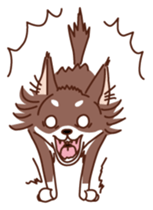 HELLO Chihuahua sticker #2915318