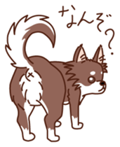 HELLO Chihuahua sticker #2915331