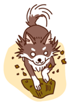 HELLO Chihuahua sticker #2915334