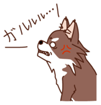 HELLO Chihuahua sticker #2915342