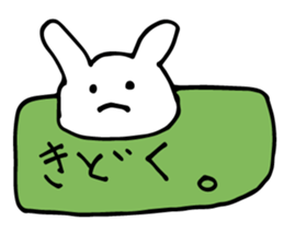 Bear to move in the message. sticker #2915860