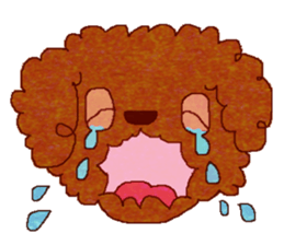 Toy Poodle's BUKU sticker #2916016