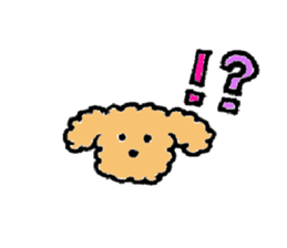 The wonderful every day of Toy Poodle sticker #2916841