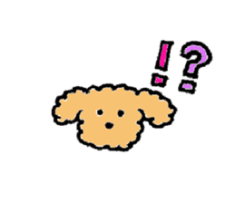 The wonderful every day of Toy Poodle sticker #2916841