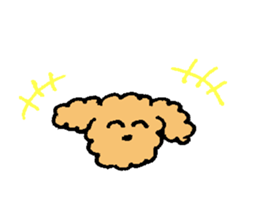 The wonderful every day of Toy Poodle sticker #2916854