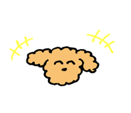 The wonderful every day of Toy Poodle sticker #2916854