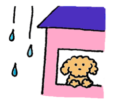 The wonderful every day of Toy Poodle sticker #2916860