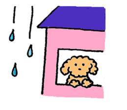 The wonderful every day of Toy Poodle sticker #2916860