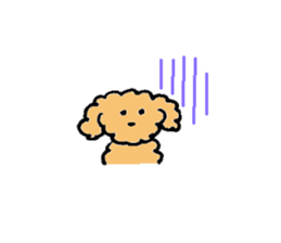 The wonderful every day of Toy Poodle sticker #2916862