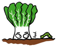 Bok choy sticker #2918815
