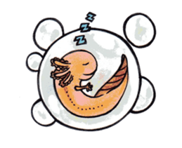 Amphibians you want to pet+Galoot! sticker #2918909