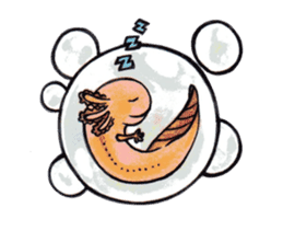 Amphibians you want to pet+Galoot! sticker #2918909