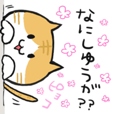 TOSABENCAT2 sticker #2926149