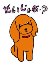 Sweet toy poodle Joshua sticker #2926723