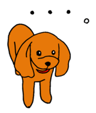 Sweet toy poodle Joshua sticker #2926726