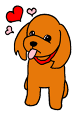 Sweet toy poodle Joshua sticker #2926727