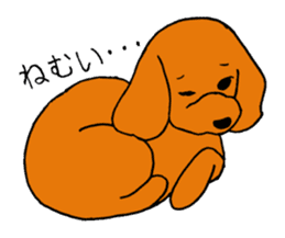 Sweet toy poodle Joshua sticker #2926740