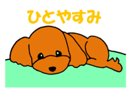 Sweet toy poodle Joshua sticker #2926742