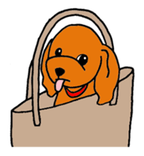 Sweet toy poodle Joshua sticker #2926745
