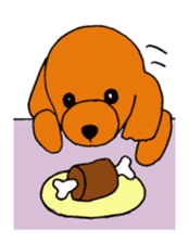 Sweet toy poodle Joshua sticker #2926747