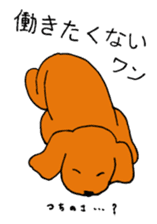 Sweet toy poodle Joshua sticker #2926749