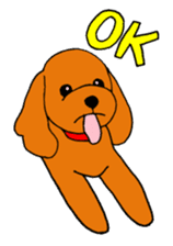 Sweet toy poodle Joshua sticker #2926757
