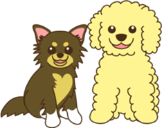 Poodle & Chihuahua sticker #2926963
