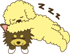 Poodle & Chihuahua sticker #2926964
