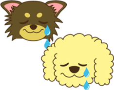 Poodle & Chihuahua sticker #2926971