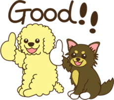Poodle & Chihuahua sticker #2926976
