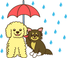 Poodle & Chihuahua sticker #2926991